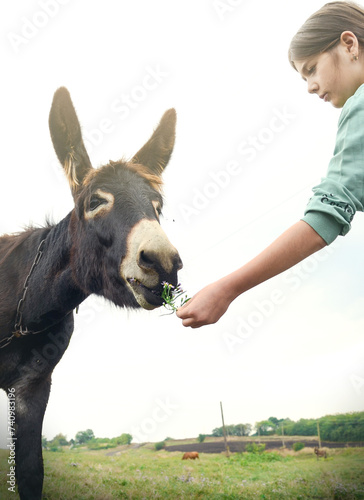 Donkey and girl, girl hands donkey a sprig of flowers, communication with animals, petting zoo
