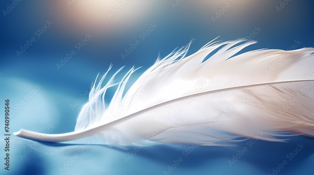 Obraz premium Abstract feather background,feather texture wallpaper