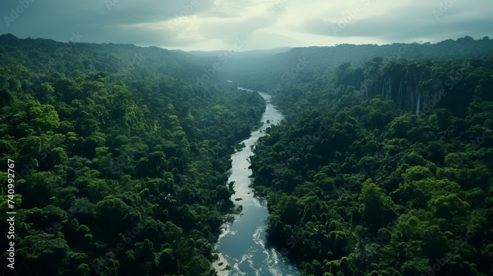 Aerial View of the Amazon Rainforest: Lush Greenery

