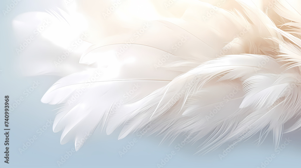Soft feather decoration, feather texture Soft feather decoration, feather texture