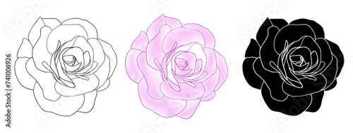 Camellia flowers line art, silhouette, pink colorful vector. Delicate rose flower head set for spring, isolated in white background. Vector illustration for logo, card, invite.
