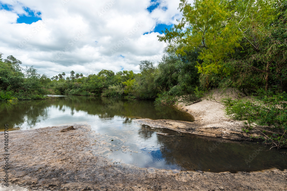 Obraz premium Palmar 13