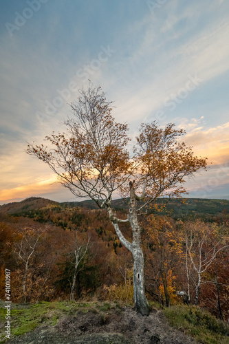 Autumn panorama of mountains and forests with a view of the sunset and forests with autumn colors of trees in the Jizera mountains in the Czech Republic