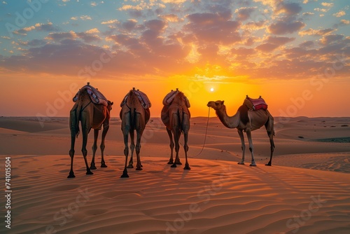 Group of camels standing together on sand dunes against a stunning sunset backdrop, with a serene desert landscape.