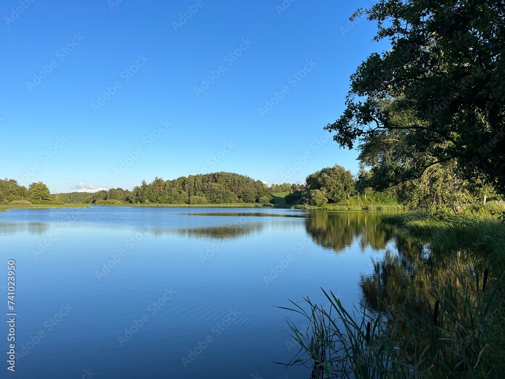 lake and trees