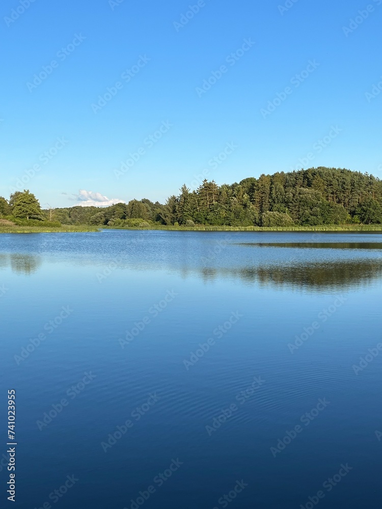 lake and trees lake and trees