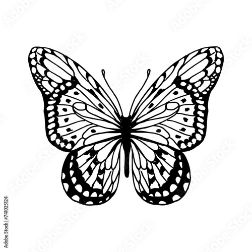Butterfly hand drawn line vector illustration