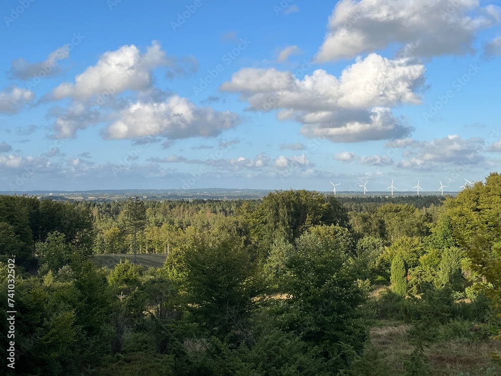 landscape with trees and clouds landscape with trees and clouds