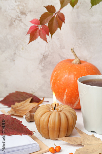 Beautiful autumn compositio...