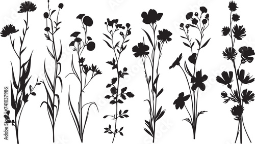 Set Flowers. Hand drawn vector illustration © Михаил Н
