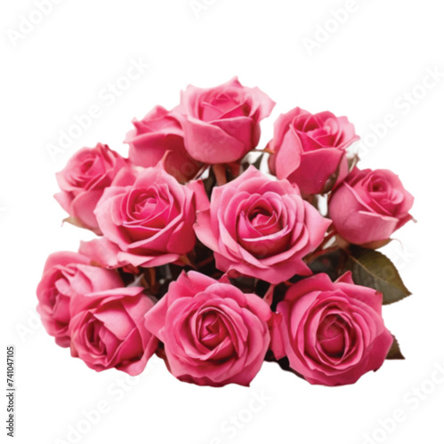 bouquet of pink roses © Shirina