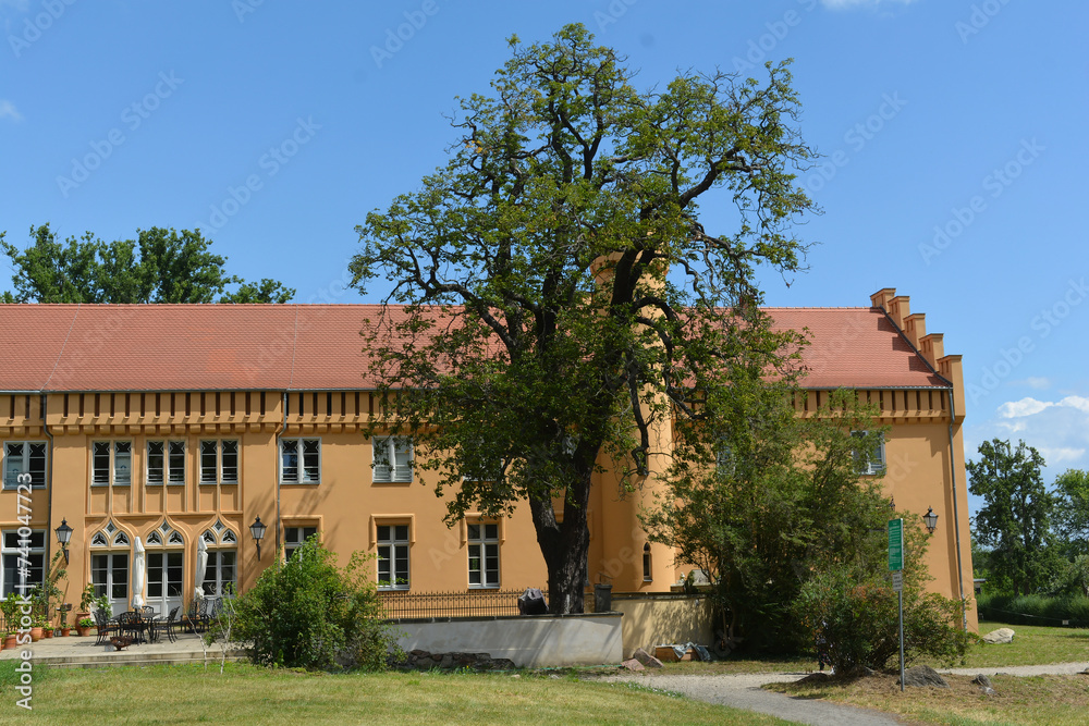 Schloss Petzow in Werder-Petzow, Schwielowsee, südlich von Berlin, nahe Potsdam, Brandenburg, Deutschland
