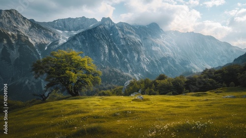 A serene landscape of rolling hills and majestic mountains, blanketed in lush green grass and framed by a vast expanse of sky, evokes a sense of peaceful wilderness and untamed beauty in this outdoor © ChaoticMind