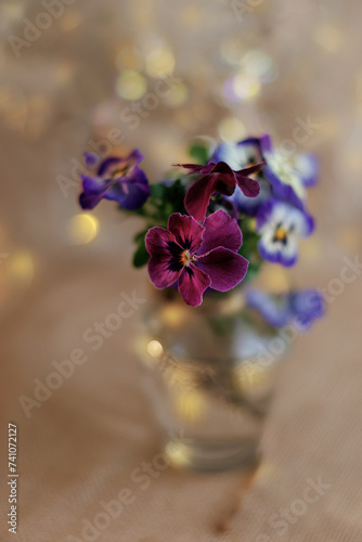 Blurred beautiful beige background with pansy flower and yellow bokeh. Shallow depth of field. Close-up
