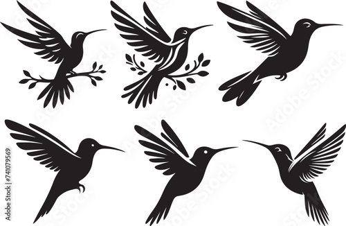 Humming bird silhouette vector illustration
