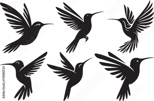 Humming bird silhouette vector illustration