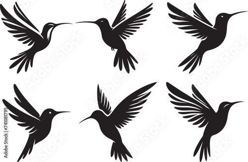 Humming bird silhouette vector illustration