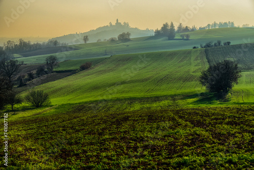 The rolling hills of Montecastello - Alessandria - Piedmont - Italy