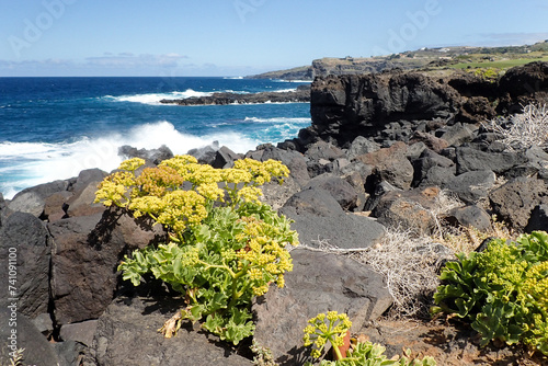 Buenavista del Norte, coastal panorama with path at the edge of the ocean