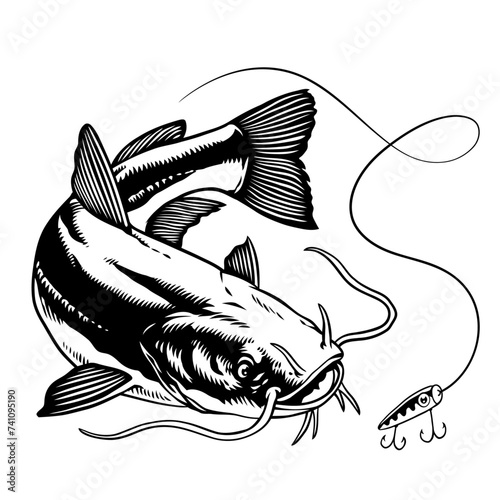 Catfish Swimming Catching the Fishing Lure in Black and White