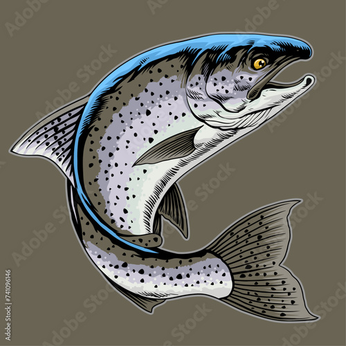 Realistic Trout Fish Hand Drawn Vintage Illustration