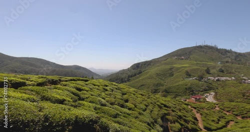 Views across the tea plantations in the Nuwara Eliya District, Central Province of Sri Lanka photo