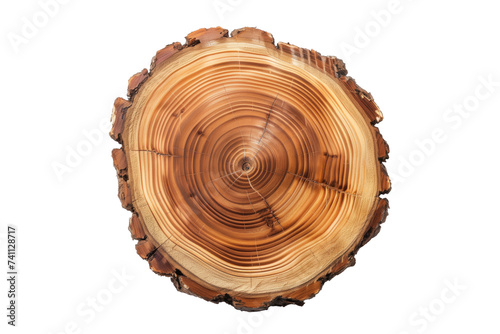 A cross-section of a tree trunk, png stock photo file cut out and isolated on a transparent and white background