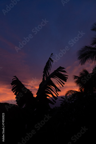 Coucher de soleil avec l'ombre d'un bananier et cocotier en Polynésie