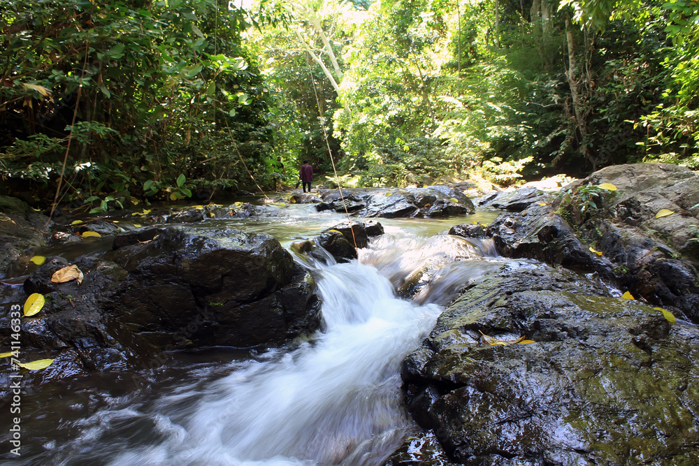 Waterscape in Central Borneo Tropical Forest Waterscape in Central Borneo Tropical Forest