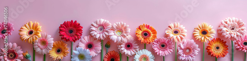 AI art  colorful gerbera background                        