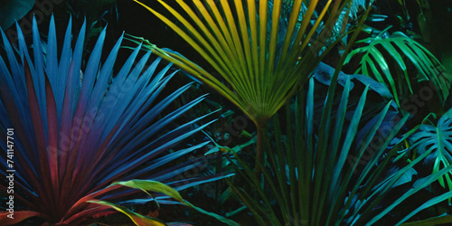 This captivating image captures the essence of tropical foliage bathed in the glow of neon lights. This image is a testament to the beauty of nature.