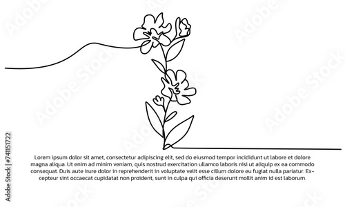 One line lily flower poster drawing with a beautiful frame. Abstract minimal continuous line wall decor.