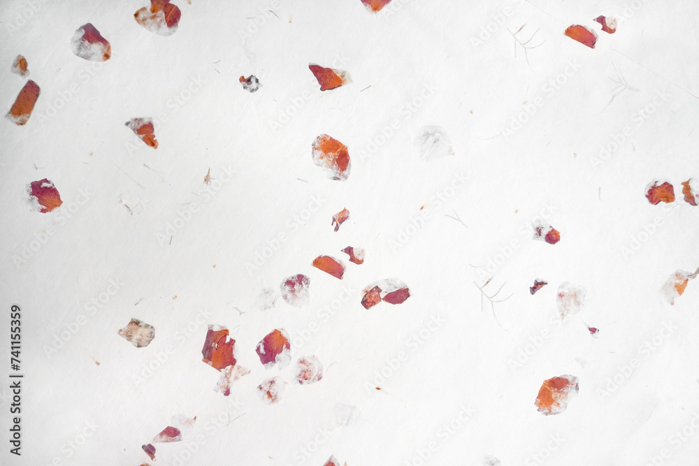 Handmade paper with pressed rose petals and leaves.Textured paper with ...
