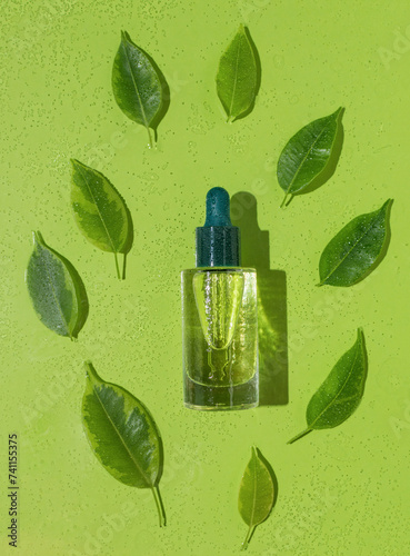 Green leaves and a bottle of fragrance oil on a green background with drops of water.