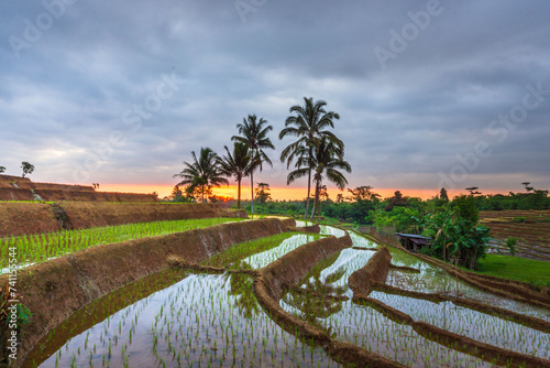 beautiful morning view from Indonesia of mountains and tropical forest