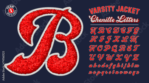 A collection of letters in the style of chenille fabric varsity letterman jacket patches photo