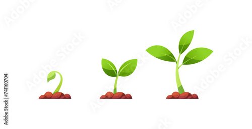 Plant growing stages vector isolated on white background.