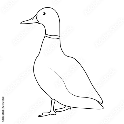 Duck outline simple icon duck water bird continuous line art vector drawing of vector illustration. 