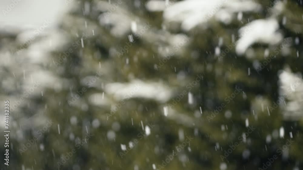 Slow motion snow falling. Snowfall with blur in background outside in nature. Slow motion snow falling. Snowfall with blur in background outside in nature.