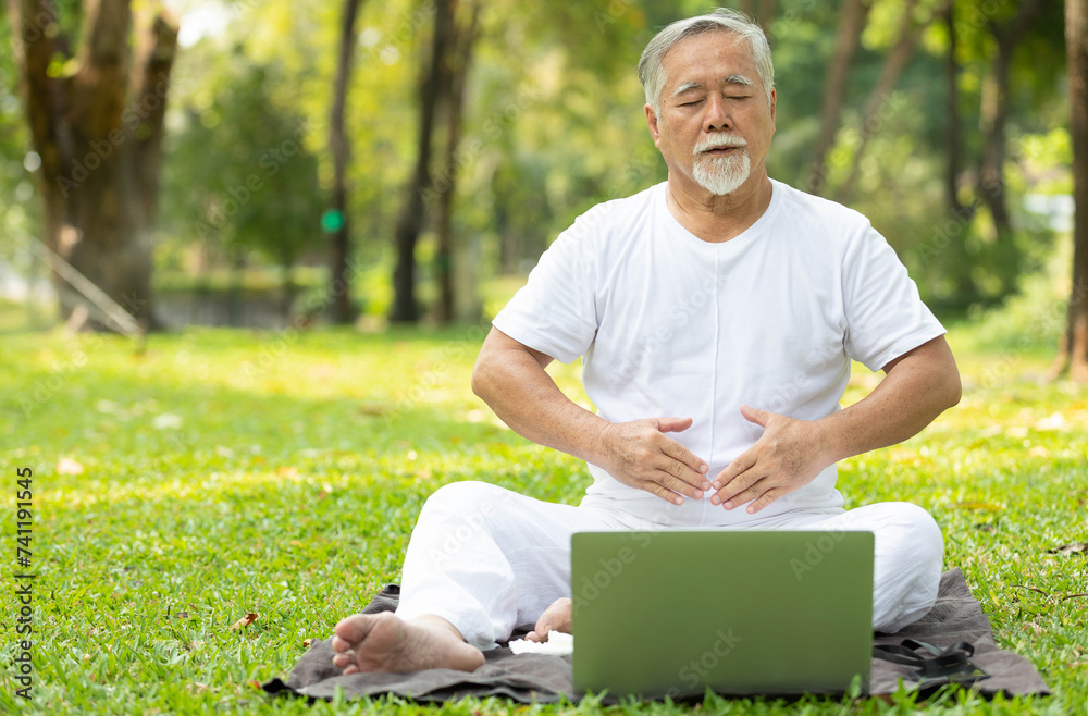 Obraz premium asian senior man workout and doing yoga with online training from laptop computer in the park