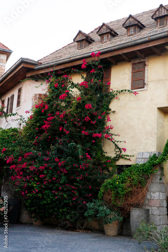 Old french european style traditional stone cottages  villas or houses  classic roof and brick work