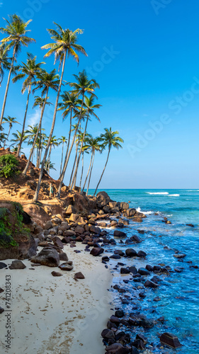 Beautiful Indian Ocean coastline on the island of Sri Lanka, Mirissa.
