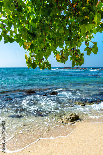 Beautiful Indian Ocean coastline on the island of Sri Lanka, Mirissa.