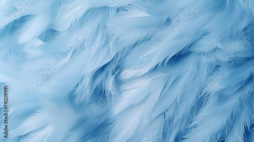 Vintage Feather Texture Pastel Blue Softness And Delicate Lines Background   © Muhammad