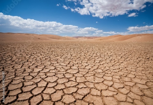 Desert with cracked ground