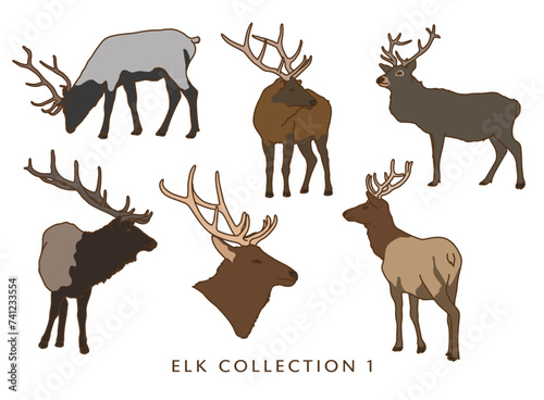 Elk Illustration Set (Different Poses) - In Color!