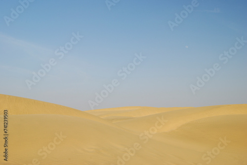 Desert sand pattern during the Moon rising. Golden sandy waves or dunes. Wave of sand. Jaisalmer  Rajasthan  India  Asia.