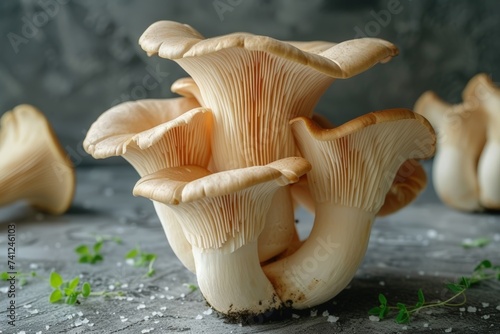 Cluster of Oyster Mushrooms on Rustic Background