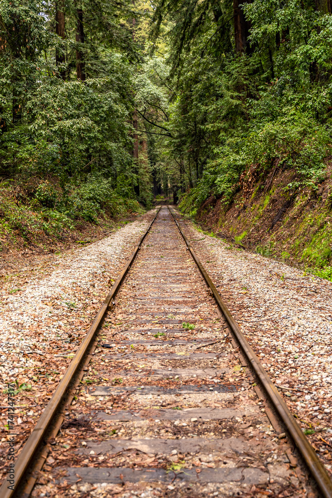 Railroad at Henry Cowell Redwoods State Park. Railroad at Henry Cowell Redwoods State Park.
