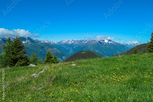 Blooming alpine meadow with panoramic view of majestic mountain peaks of Carnic andd Julian Alps. Idyllic hiking trail to Boese Nase, Ankogel Group, Carinthia, Austria. Remote Austrian Alps in spring © Chris